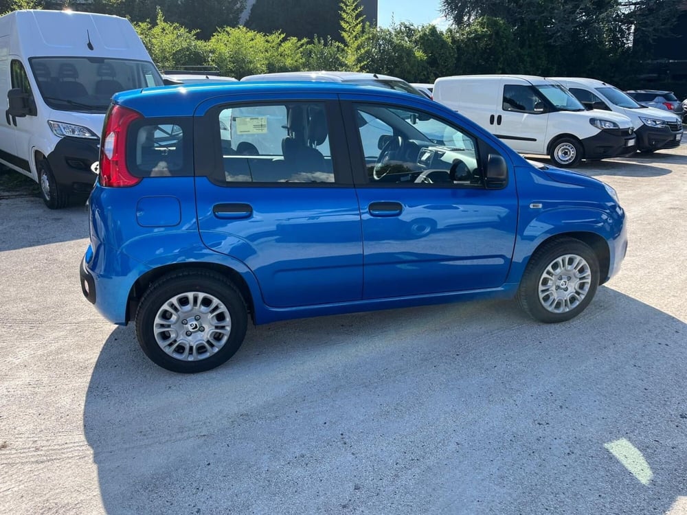 Fiat Panda Cross nuova a Milano (5)