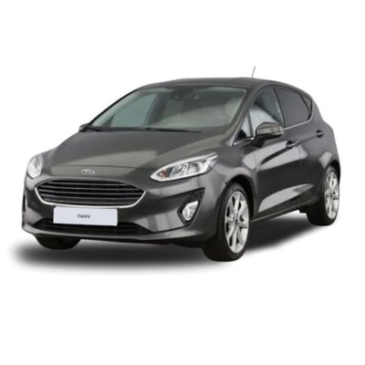 Ford Fiesta 1.1 85 CV 5 porte Titanium del 2018 usata a Messina