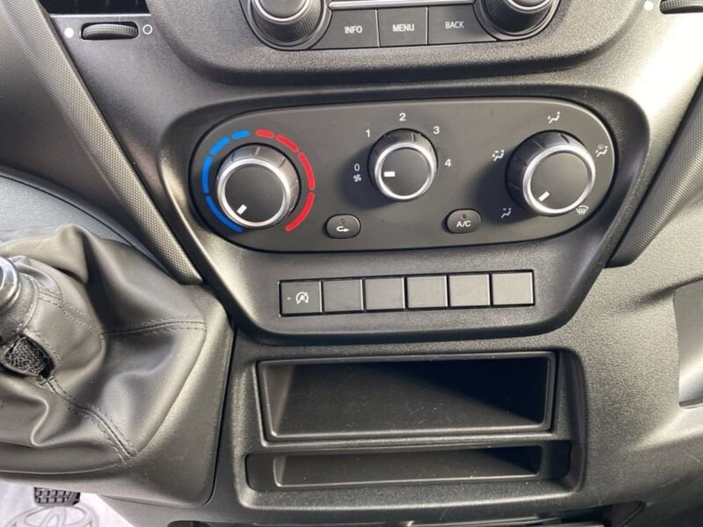 Iveco Daily Telaio usata a Vicenza (17)