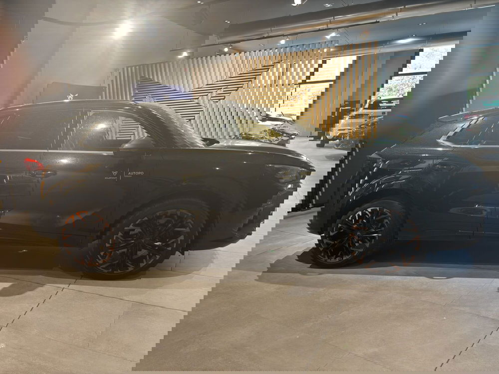 Cupra Terramar nuova a Ferrara (4)