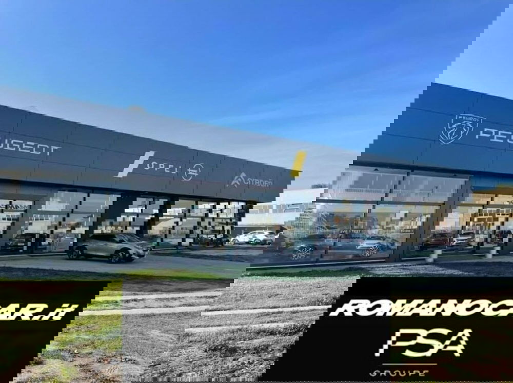 Ds DS 7 usata a Foggia (2)