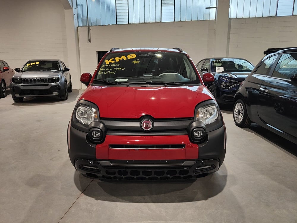 Fiat Panda Cross nuova a Torino (2)