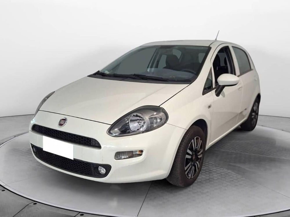 Fiat Punto usata a Torino
