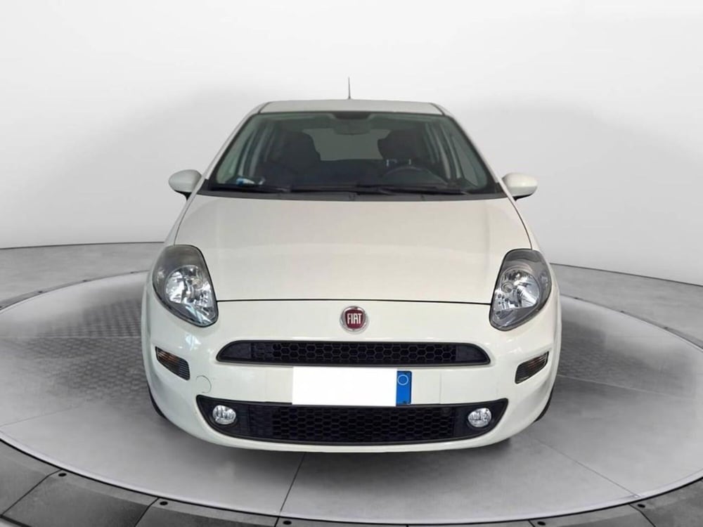 Fiat Punto usata a Torino (2)