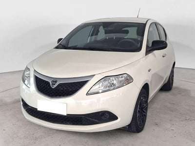 Lancia Ypsilon 1.2 69 CV 5 porte Elefantino del 2019 usata a Torino