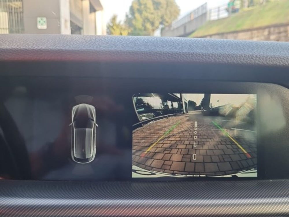 Alfa Romeo Stelvio usata a Monza e Brianza (17)