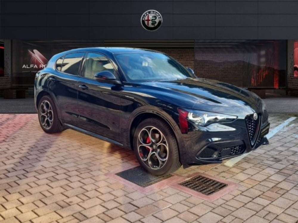 Alfa Romeo Stelvio usata a Monza e Brianza (3)