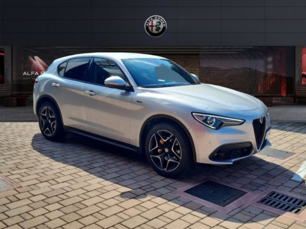 Alfa Romeo Stelvio usata a Monza e Brianza (3)
