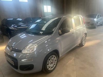 Fiat Panda 1.0 firefly hybrid s&amp;s 70cv 5p.ti del 2022 usata a Lodi