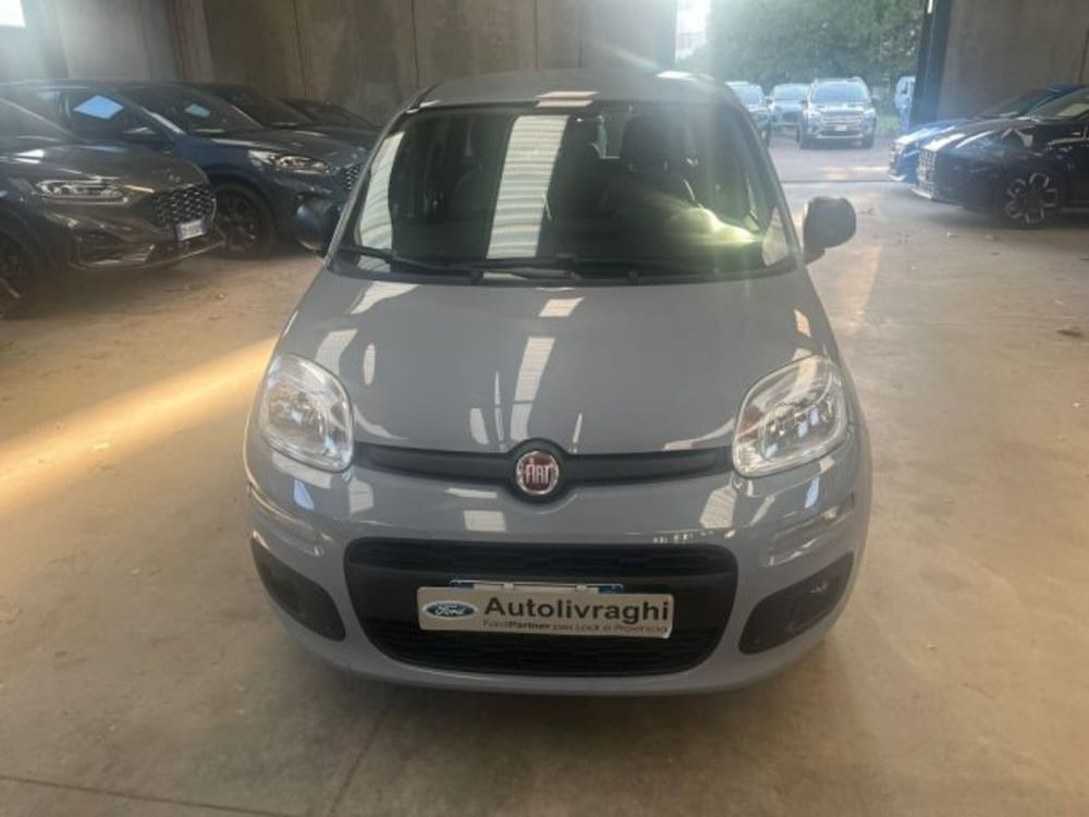 Fiat Panda usata a Lodi (2)