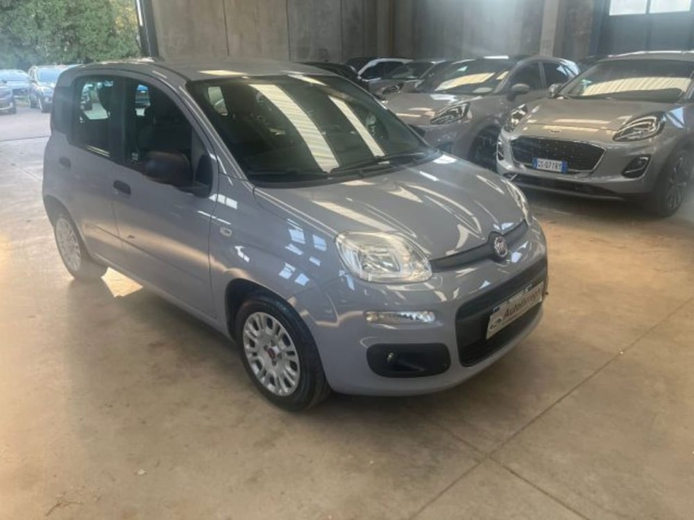 Fiat Panda usata a Lodi (3)