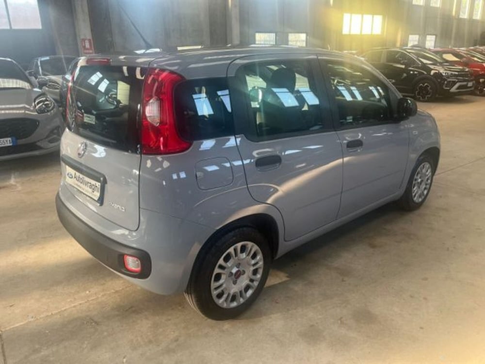 Fiat Panda usata a Lodi (4)