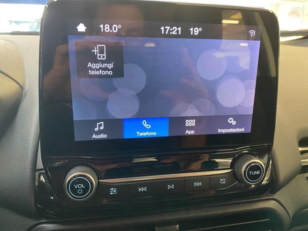Ford EcoSport usata a Torino (10)