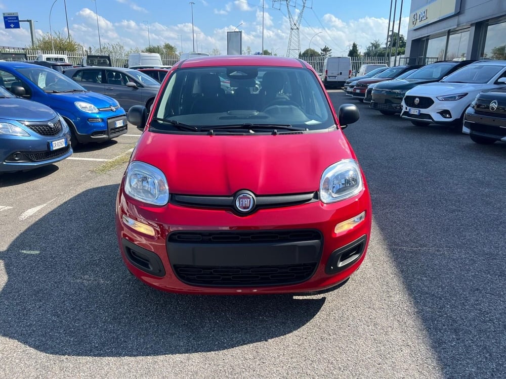 Fiat Panda Cross nuova a Milano (2)