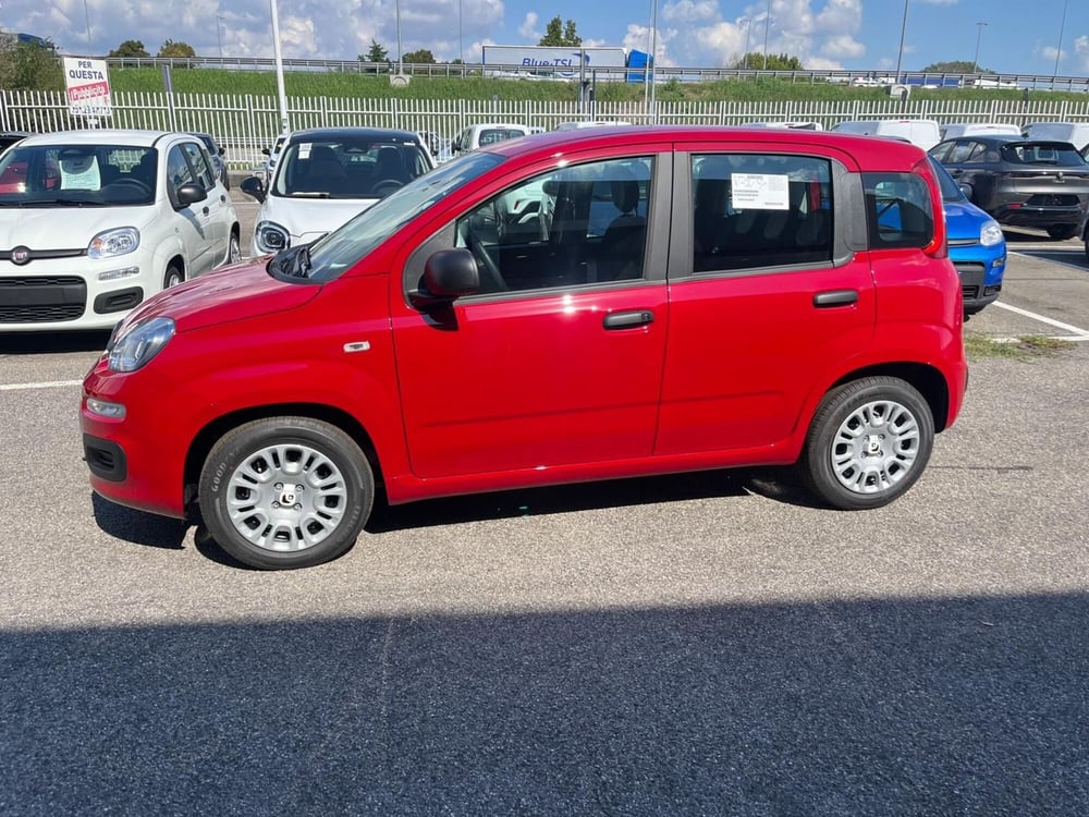 Fiat Panda Cross nuova a Milano (4)