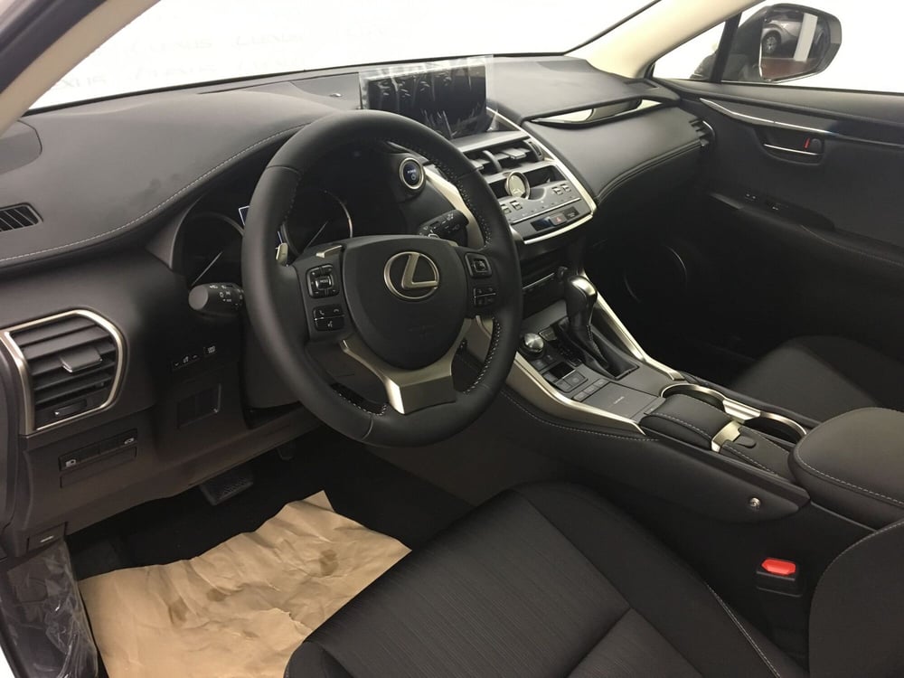 Lexus NX usata a Cremona (10)