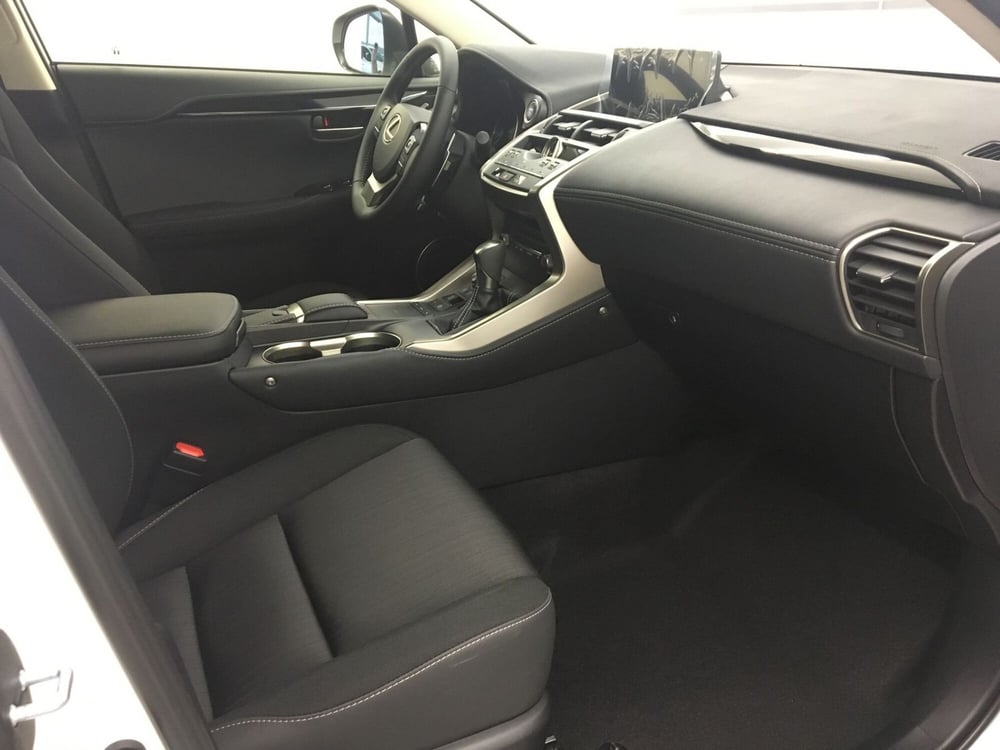 Lexus NX usata a Cremona (12)