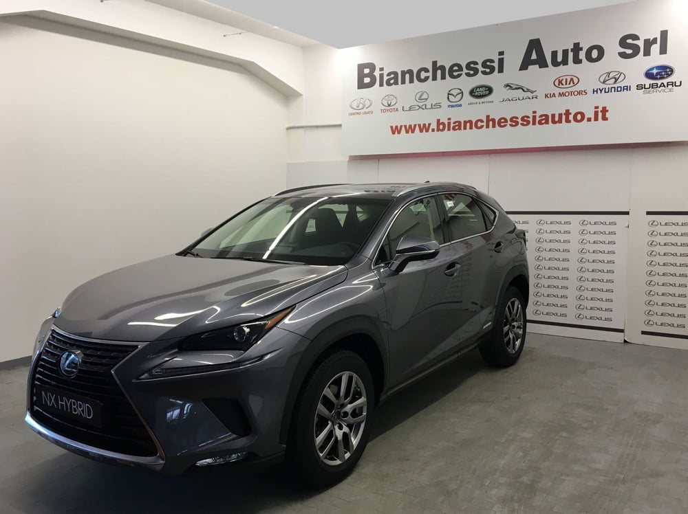 Lexus NX usata a Cremona (5)