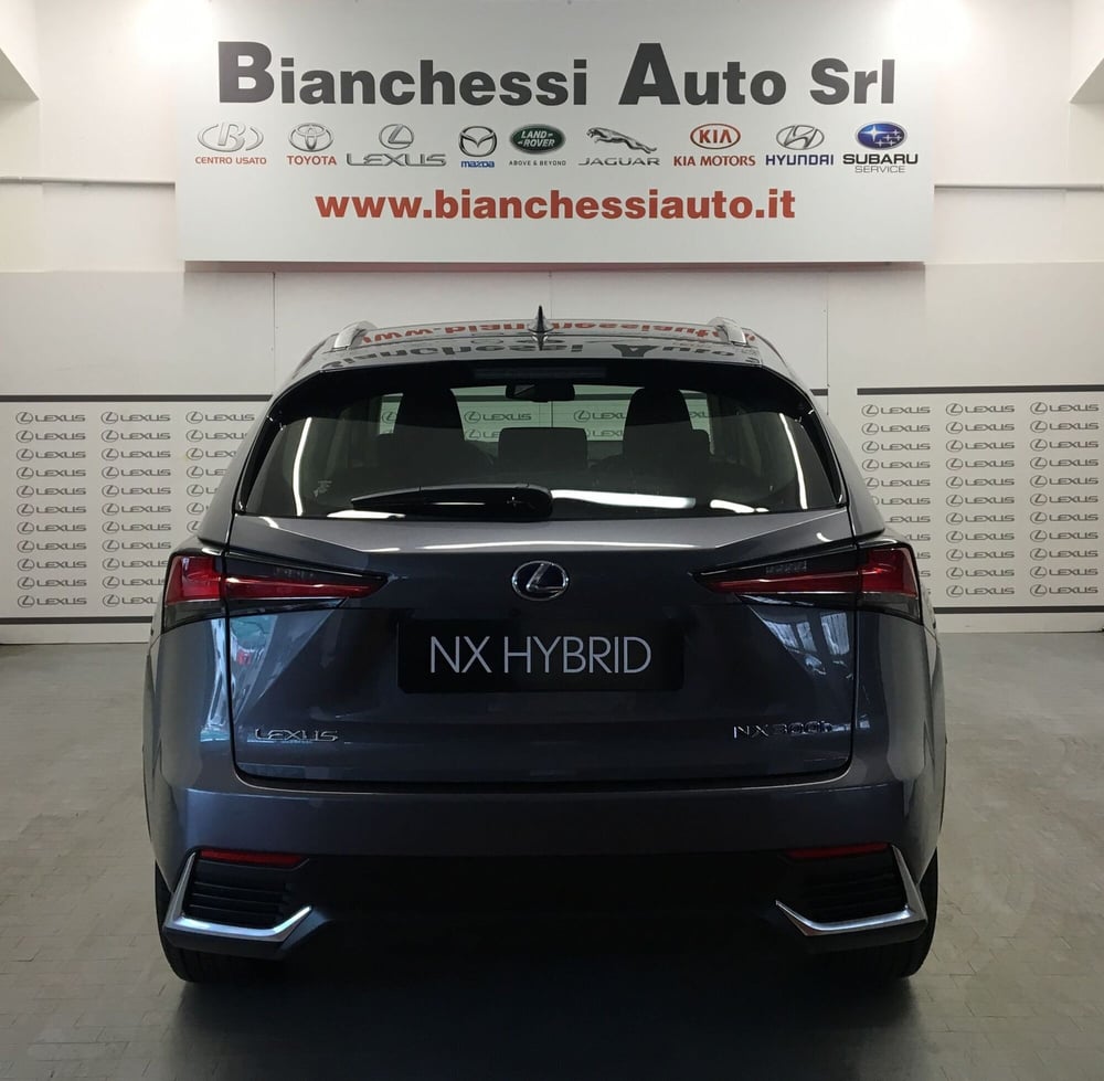 Lexus NX usata a Cremona (8)
