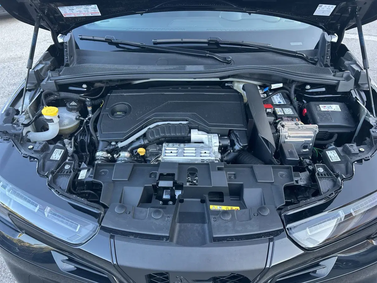 Alfa Romeo Junior nuova a Chieti (13)
