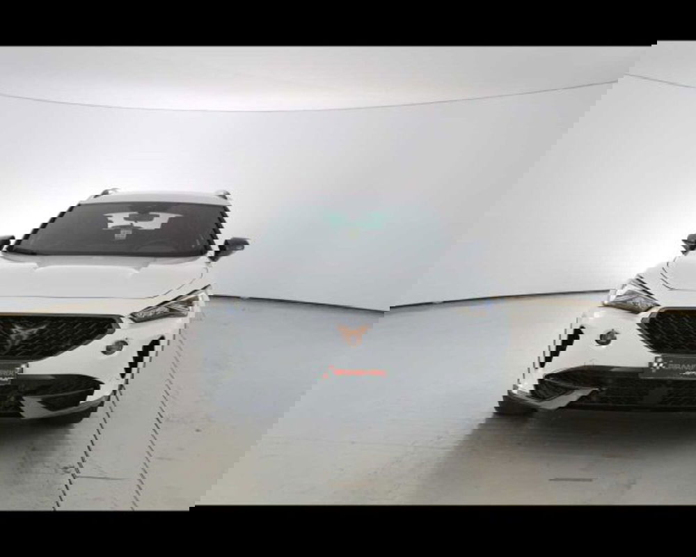 Cupra Formentor usata a Bologna (2)