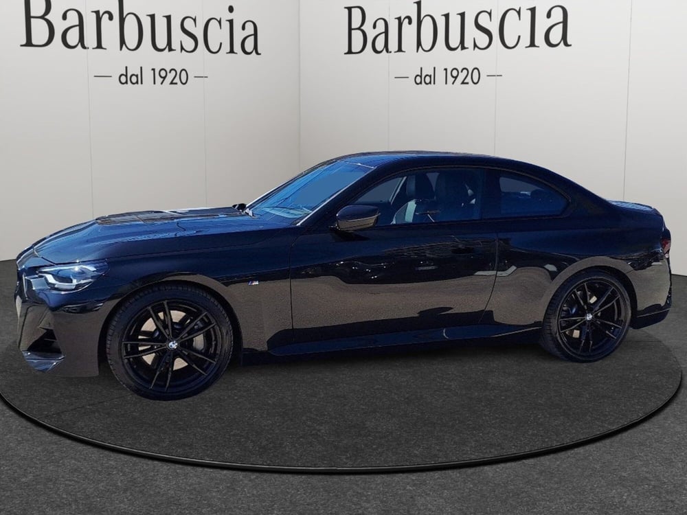 BMW Serie 2 Coupé usata a Pescara (2)