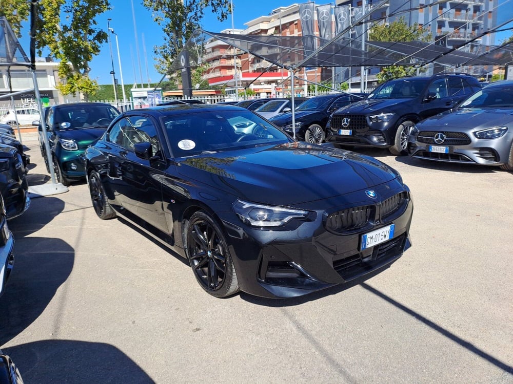 BMW Serie 2 Coupé usata a Pescara (5)