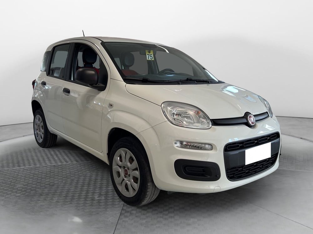 Fiat Panda usata a Pisa