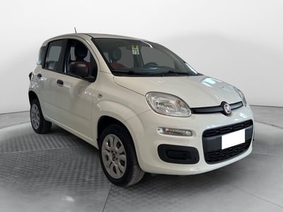 Fiat Panda 0.9 TwinAir Turbo Natural Power Easy del 2021 usata a Ponsacco