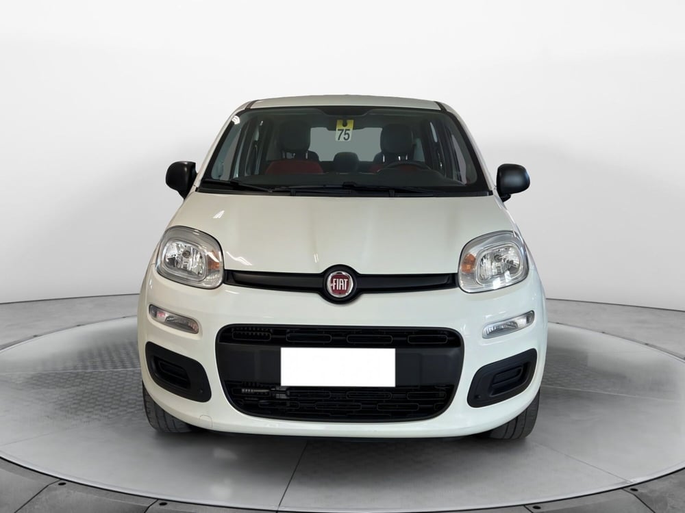 Fiat Panda usata a Pisa (2)