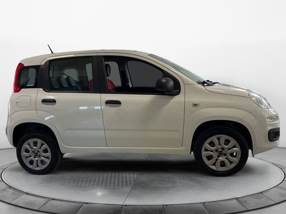 Fiat Panda usata a Pisa (3)