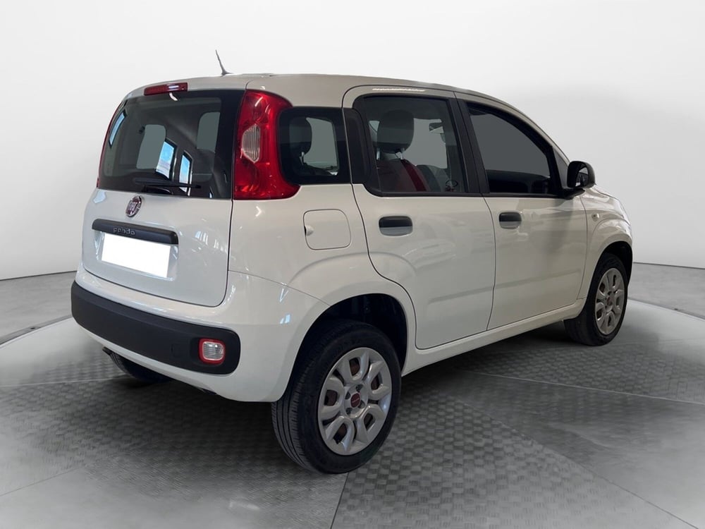 Fiat Panda usata a Pisa (5)
