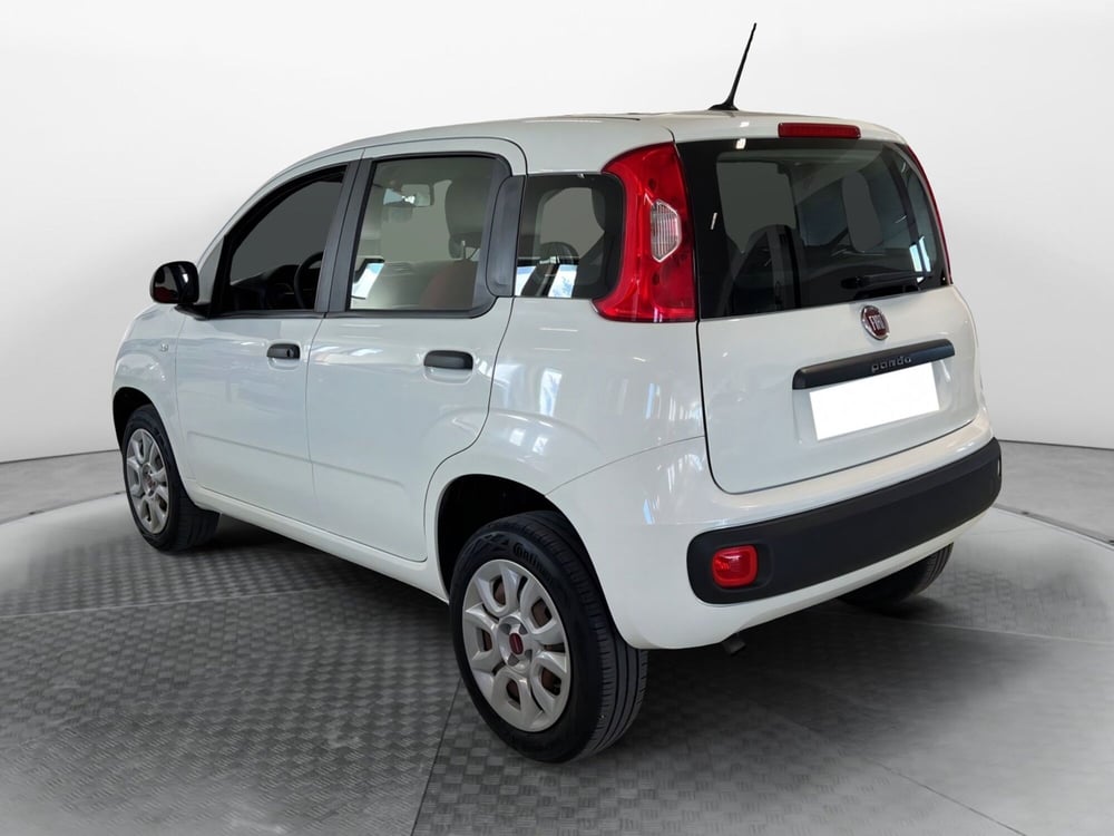 Fiat Panda usata a Pisa (6)