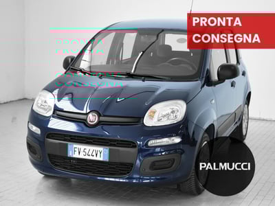 Fiat Panda 1.2 Easy del 2019 usata a Prato