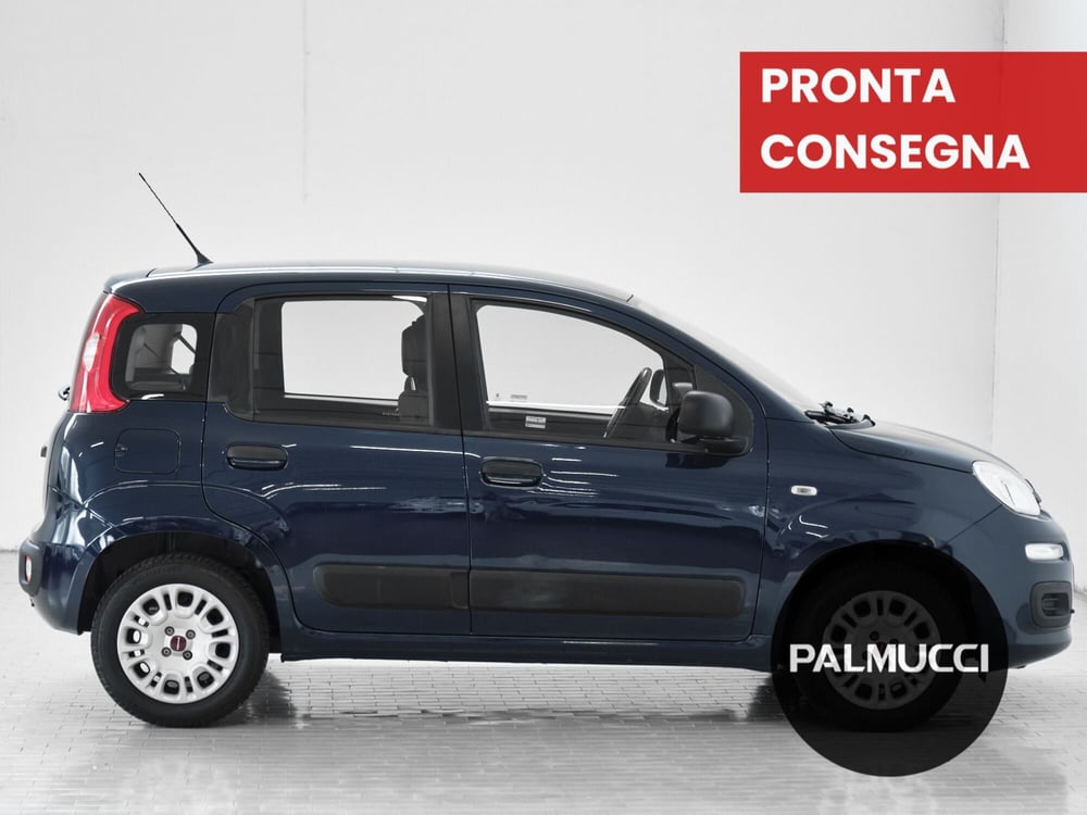 Fiat Panda usata a Prato (3)