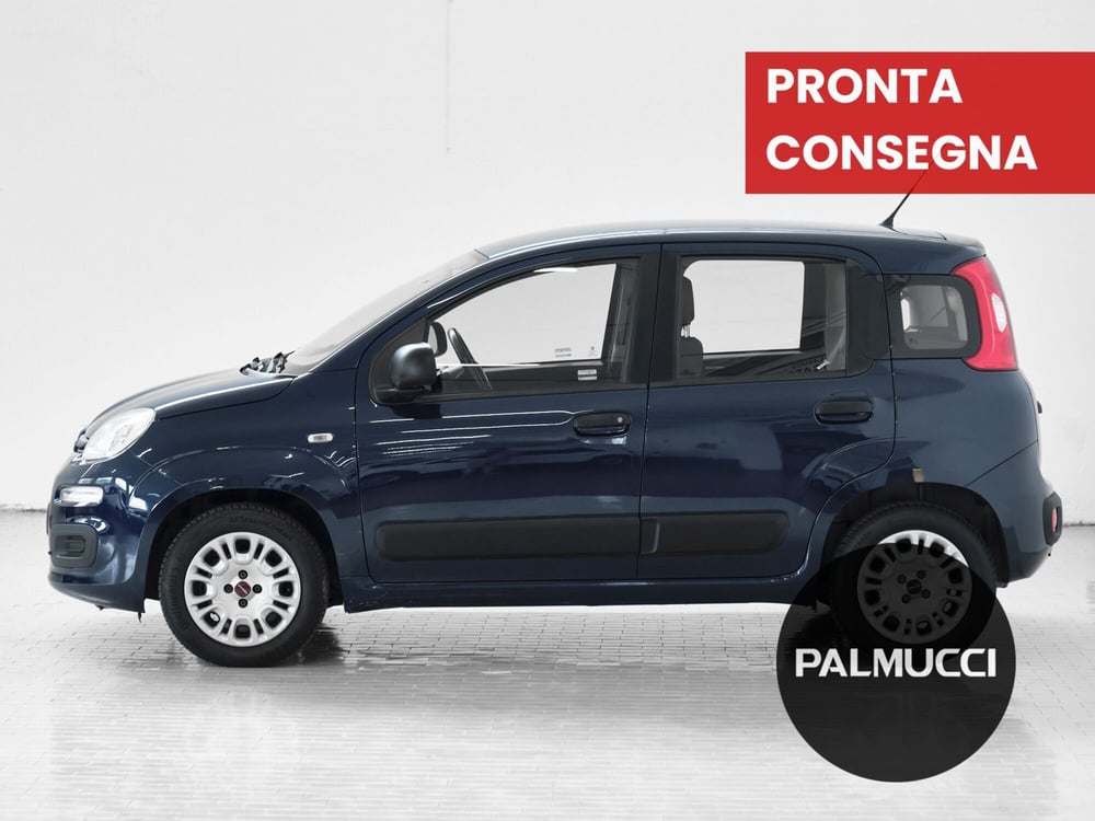 Fiat Panda usata a Prato (5)