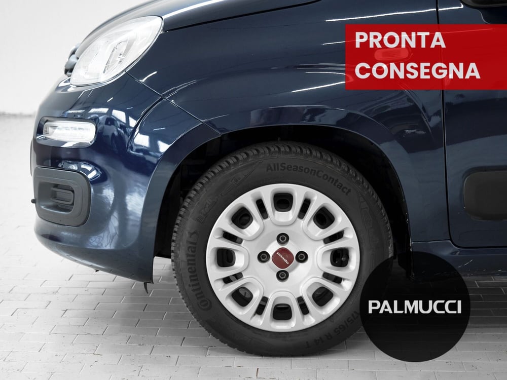 Fiat Panda usata a Prato (6)