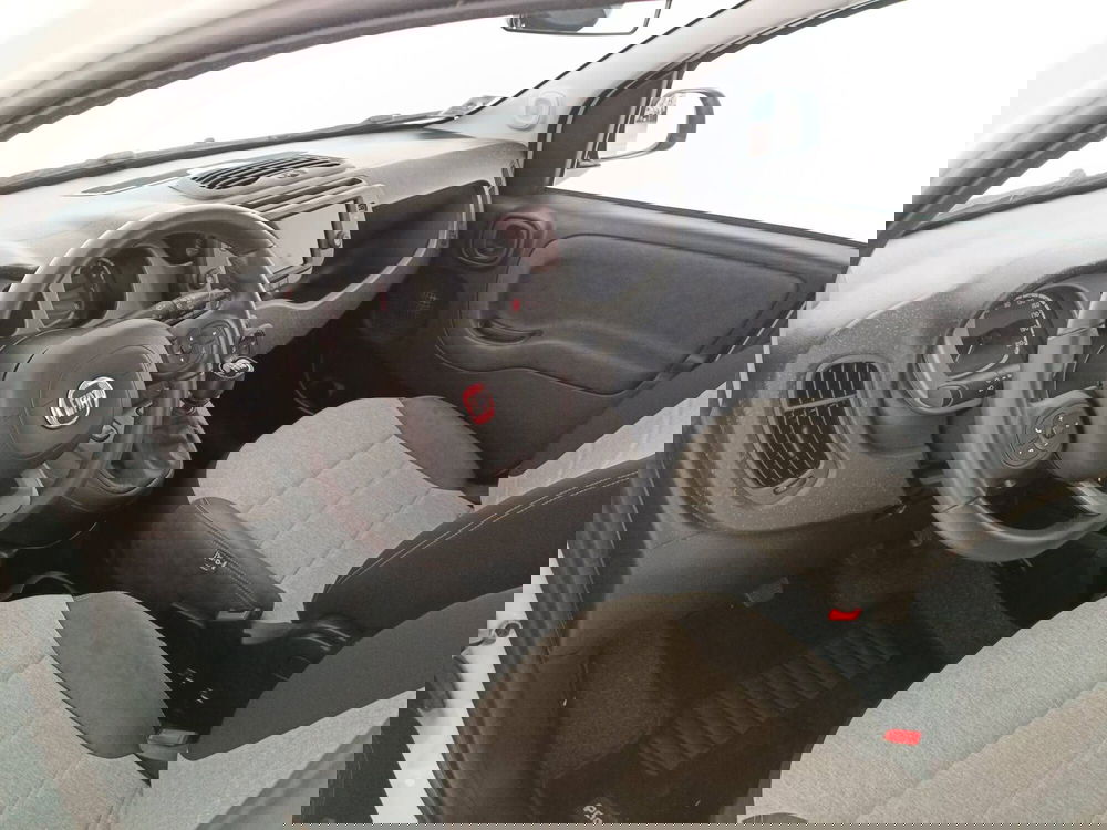 Fiat Panda Cross usata a Treviso (10)