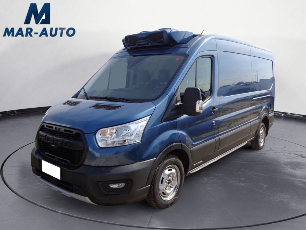 Ford Transit Furgone usata a Treviso