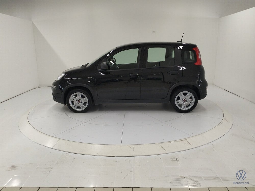 Fiat Panda usata a Catanzaro (2)