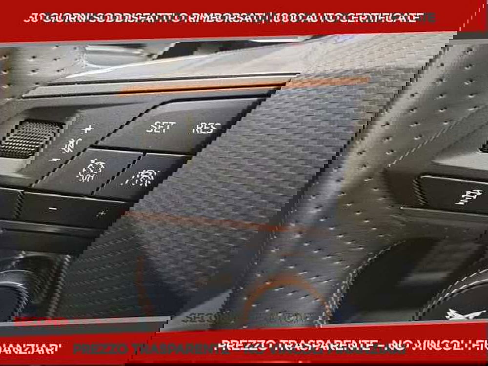 Cupra Formentor usata a Chieti (14)