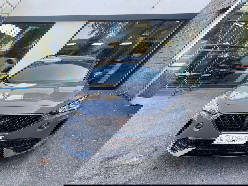 Cupra Formentor usata a Monza e Brianza (6)