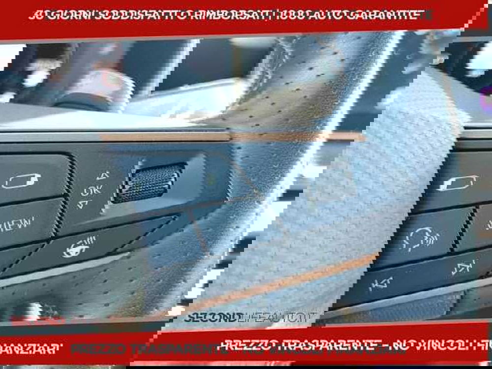 Cupra Formentor usata a Chieti (9)