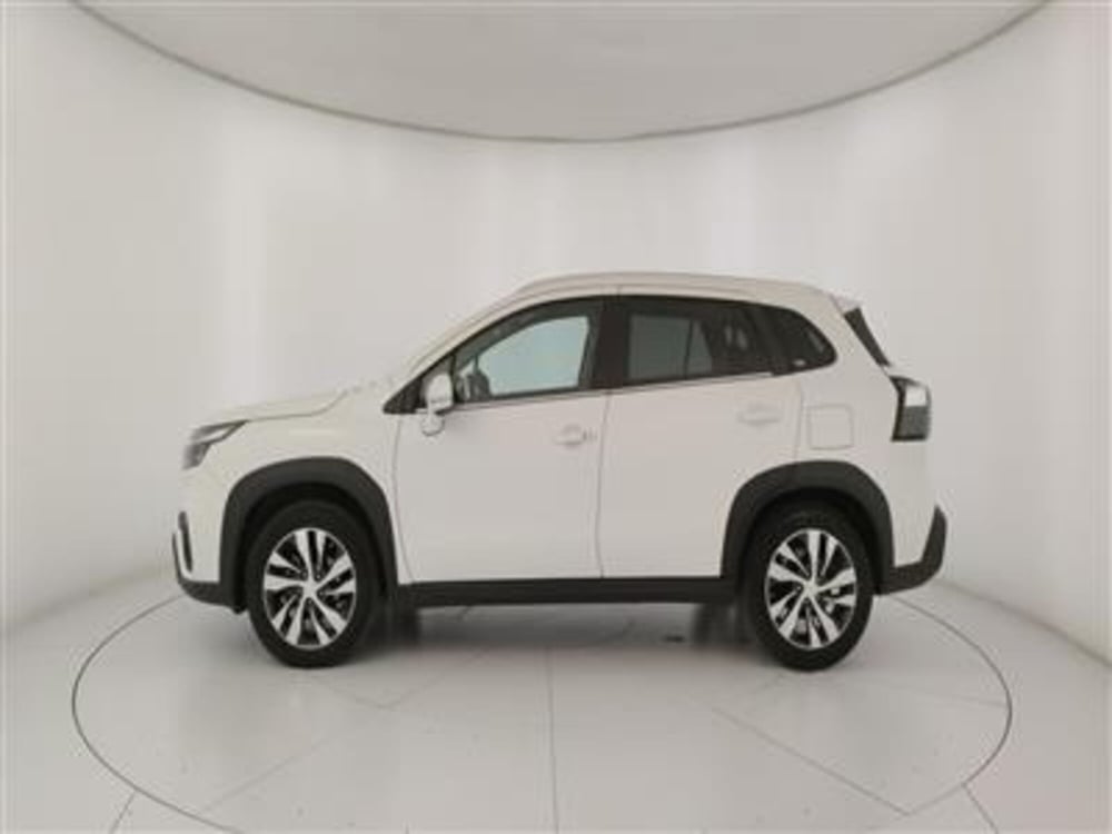 Suzuki S-Cross usata a Bari (3)