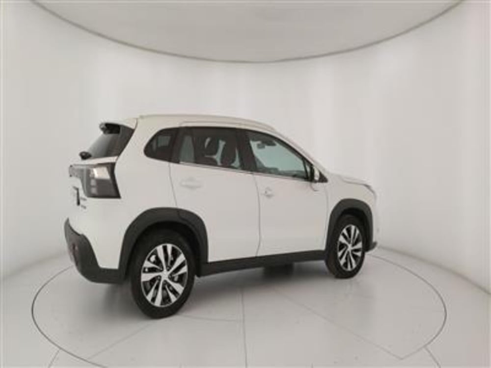 Suzuki S-Cross usata a Bari (8)