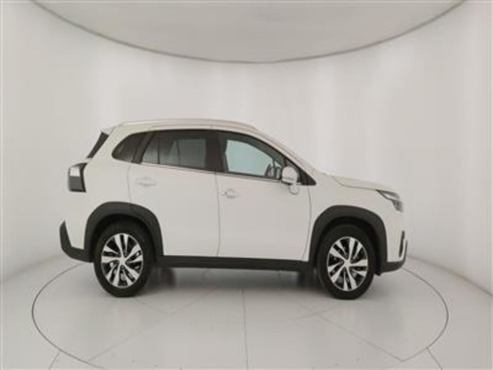 Suzuki S-Cross usata a Bari (9)