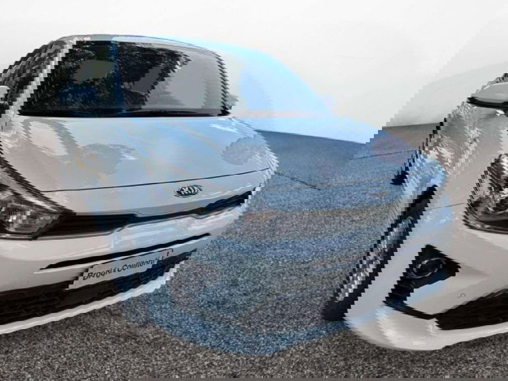Kia Rio usata a Firenze