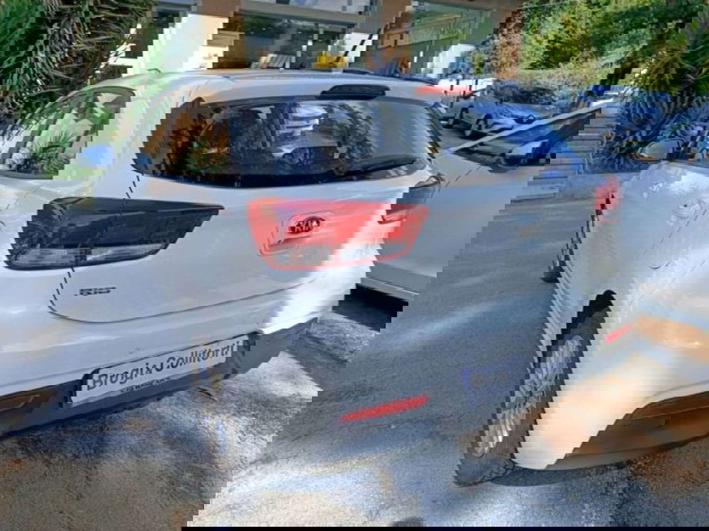 Kia Rio usata a Firenze (6)