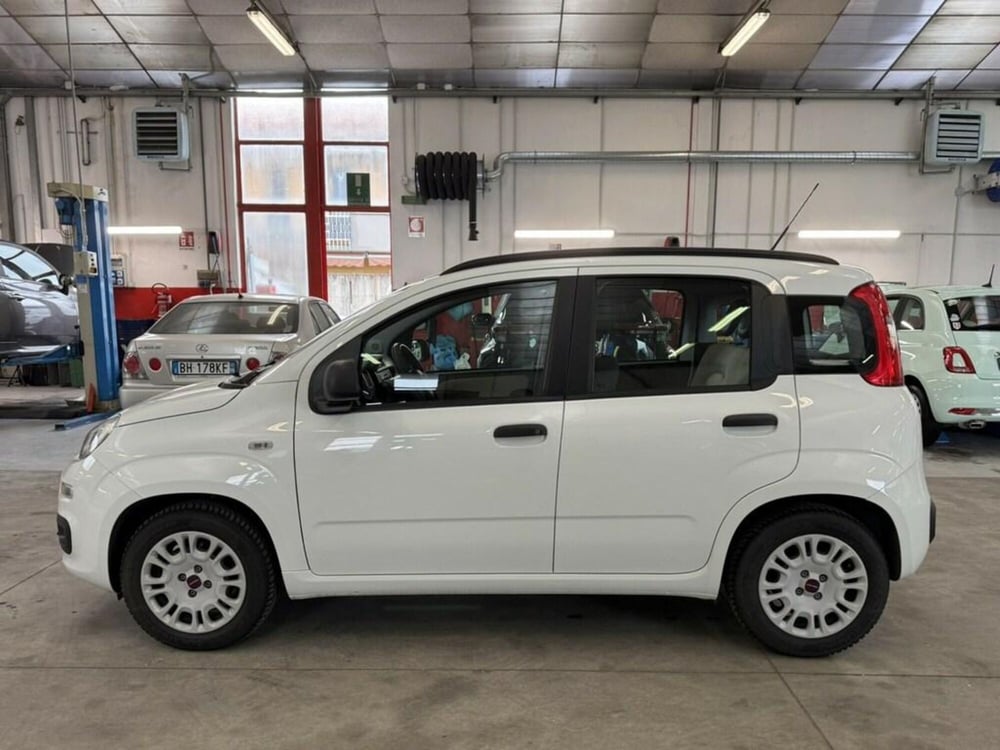 Fiat Panda usata a Monza e Brianza (3)