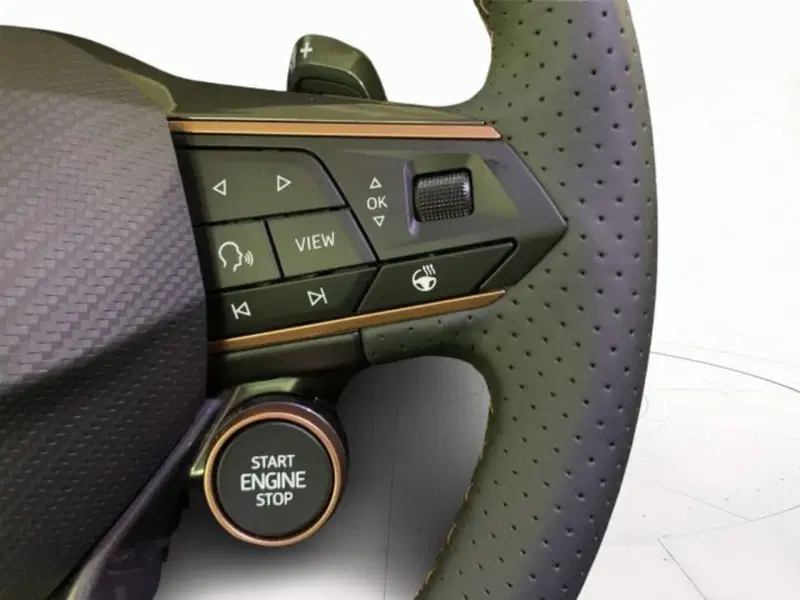 Cupra Terramar nuova a Vicenza (10)